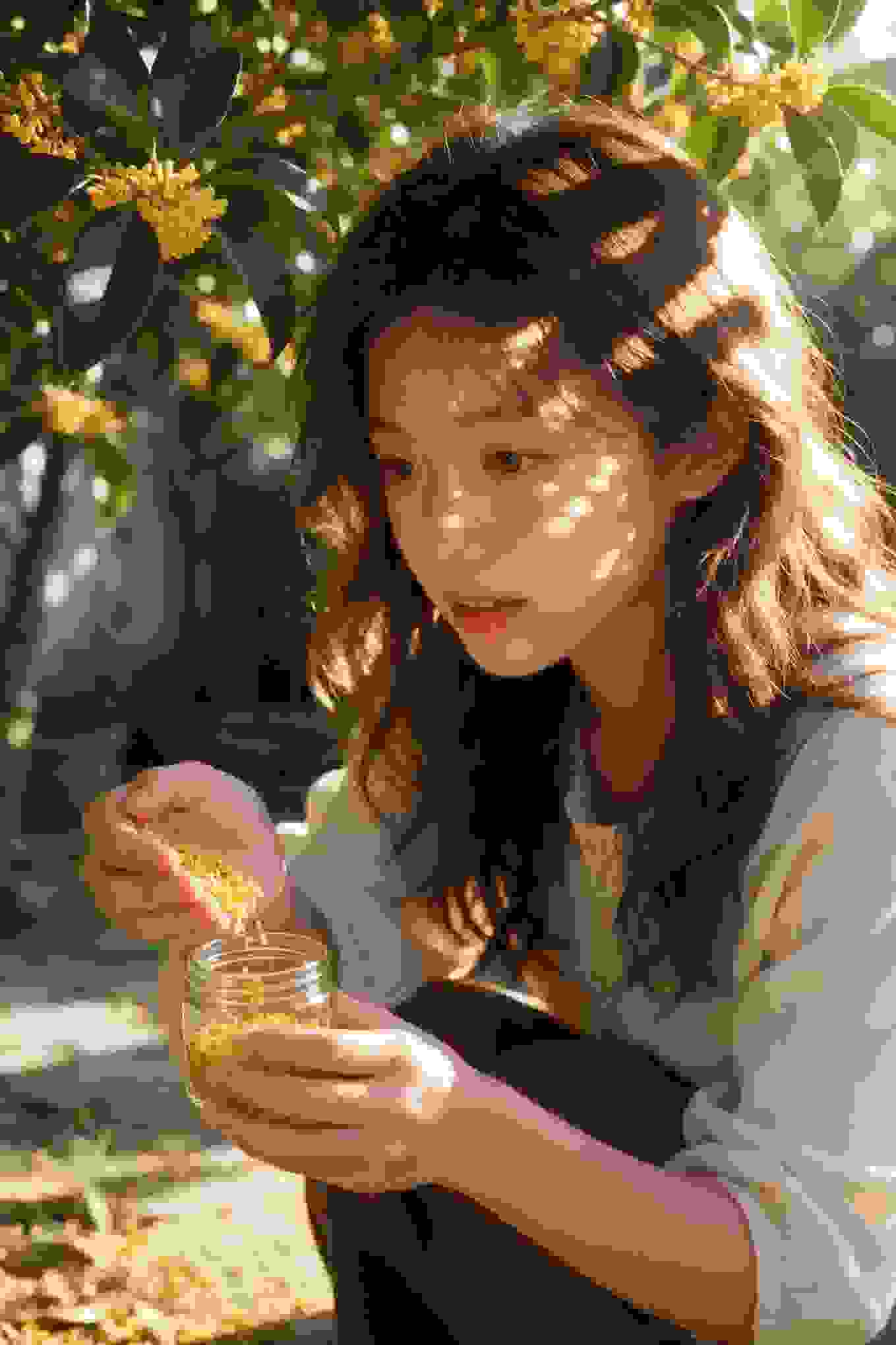 春风十里